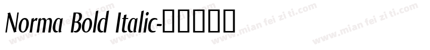 Norma Bold Italic字体转换